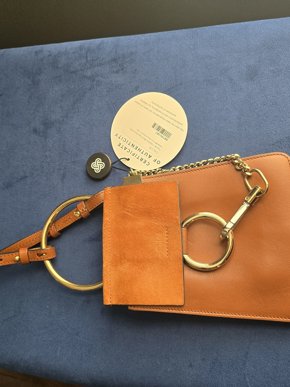 Chloe Leather Ring-Handle Crossbody Bag in Orange